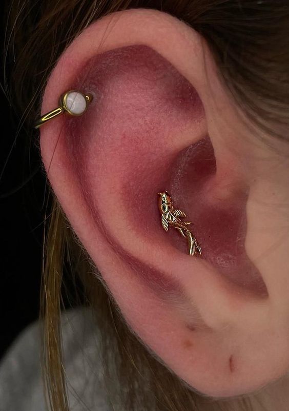 Explore Conch Piercing