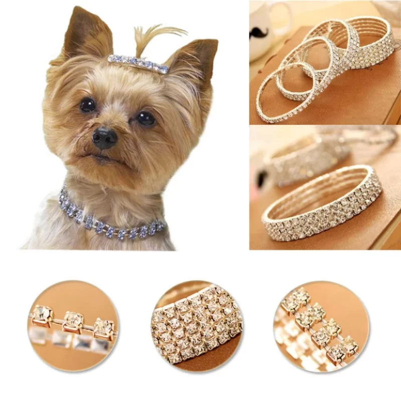 necklaces for dogs