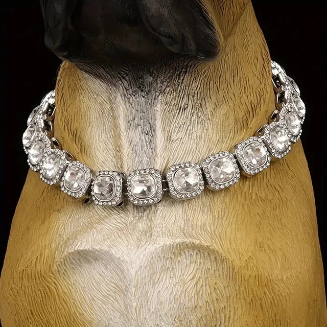 necklaces for dogs