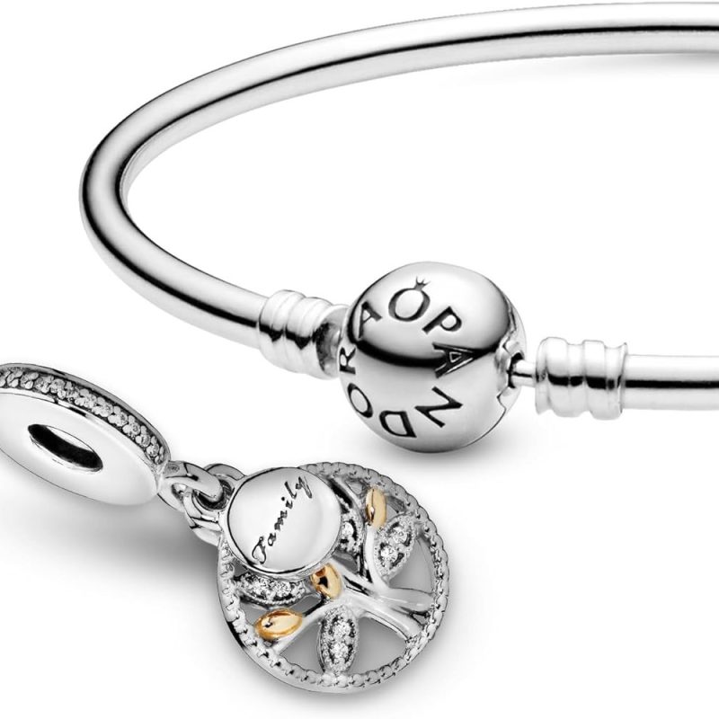 pandora bracelet bangle