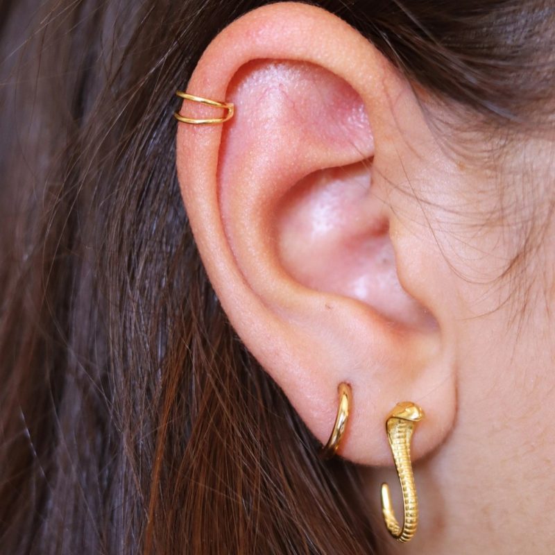 cartilage earrings