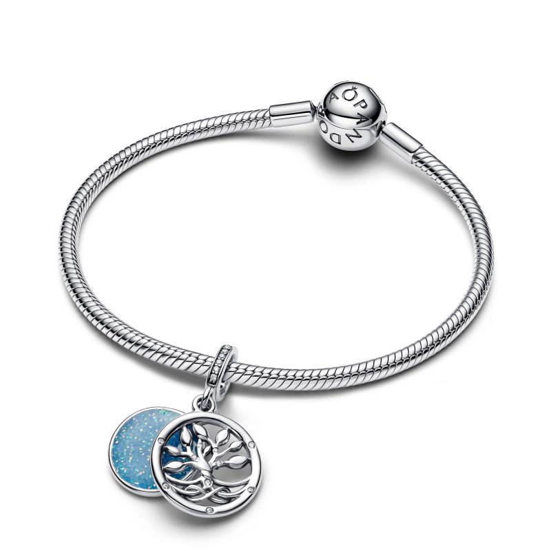 pandora bangle charms