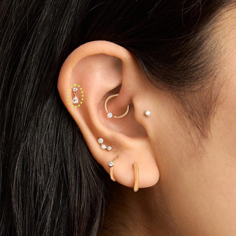 cartilage earrings