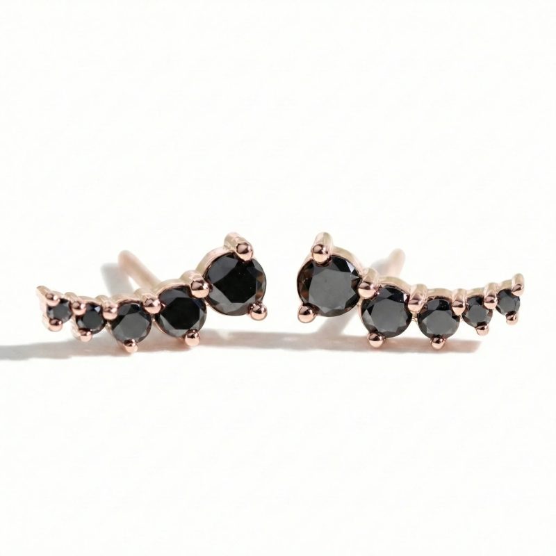 black studs earrings